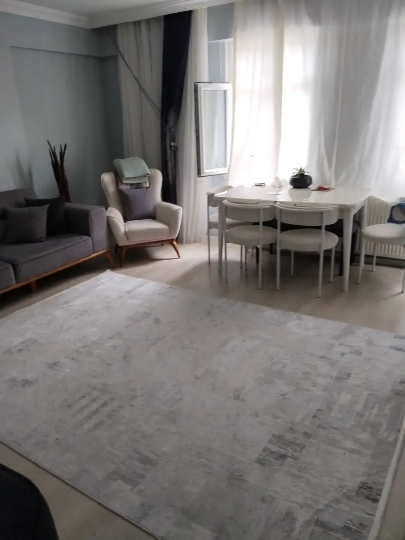 Ev arkadaşı ariyoruz - 1