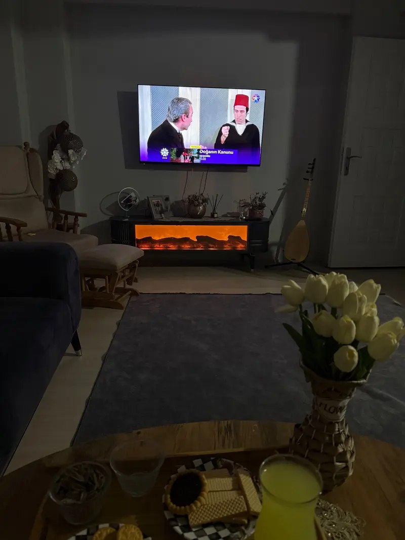 Bayan ev arkadaşı arıyorum - 1