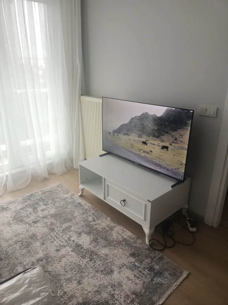 Ev Arkadaşı - 1
