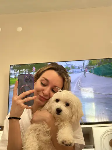Melis