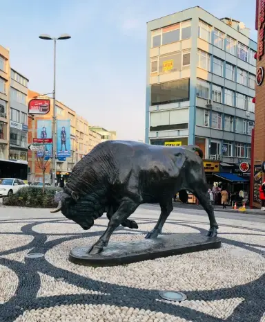 Kadıköy boğaya yakın olan lüx daireme sadece güvenilir kadın arkadaş arıyorum - Kadıköy, İstanbul